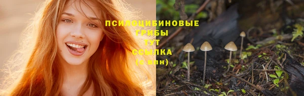 хмурый Корсаков