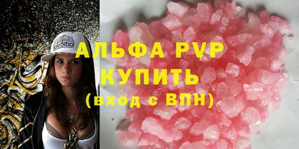 хмурый Корсаков