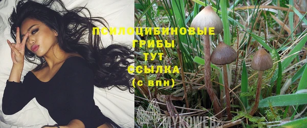 молекула духа Костерёво