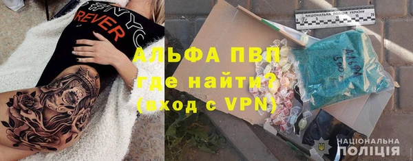 хмурый Корсаков
