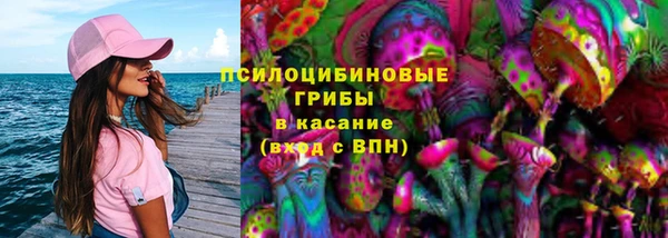 молекула духа Костерёво