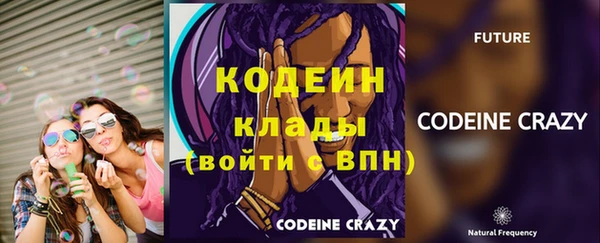 хмурый Корсаков