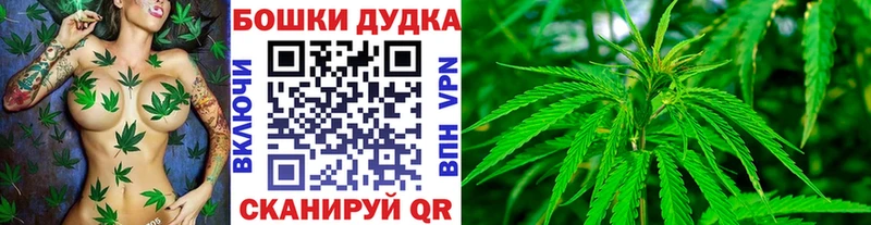 Шишки марихуана ГИДРОПОН  где продают   Можга 
